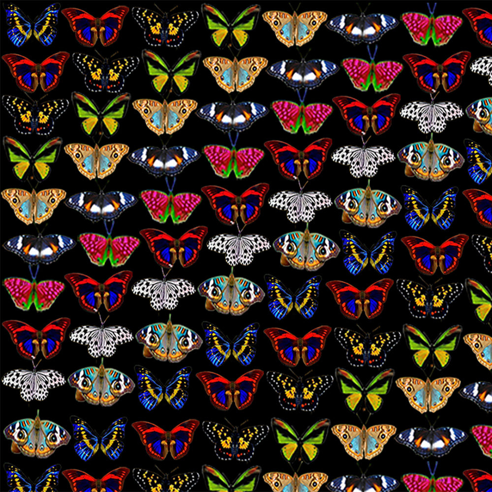 "Mariposa Mix" Bikini – Black Base